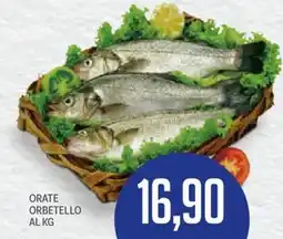 Supermercati Piccolo Orate orbetello offerta