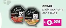 Acqua & Sapone CESAR paté vaschetta cane offerta