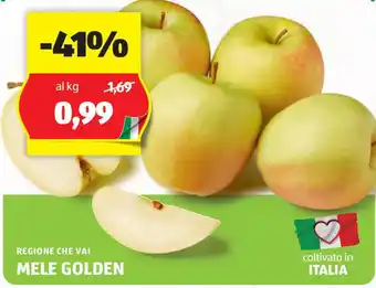 ALDI Regione che vai mele golden offerta