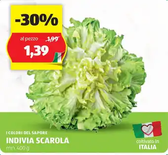 ALDI I colori del sapore indivia scarola offerta