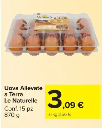 Carrefour Market Uova Allevate a Terra Le Naturelle offerta