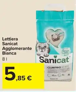 Carrefour Market Lettiera Sanicat Agglomerante Bianca offerta