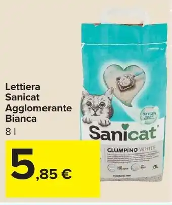 Carrefour Market Lettiera Sanicat Agglomerante Bianca offerta