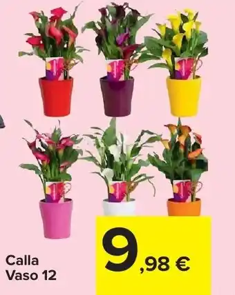 Carrefour Market Calla Vaso 12 offerta