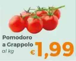 Tocal Pomodoro a Grappolo offerta