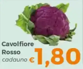 Tocal Cavolfiore Rosso offerta