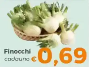 Tocal Finocchi offerta