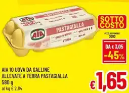 A&O Aia 10 uova da galline allevate a terra pastagialla offerta