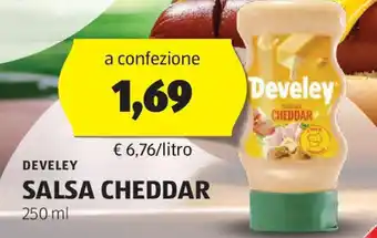 ALDI Develey salsa cheddar offerta