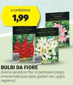 ALDI Bulbi da fiore offerta
