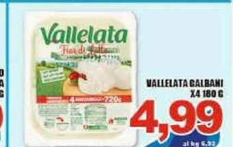 Sacoph Mozzarella offerta