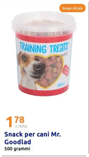 Action Snack per cani Mr. Goodlad offerta