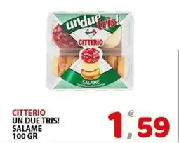 Il Centro Superstore Citterio un due tris! salame offerta