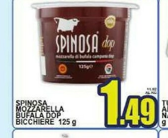 Sacoph Mozzarella di bufala offerta