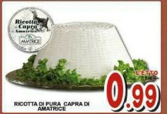 Sacoph Ricotta offerta