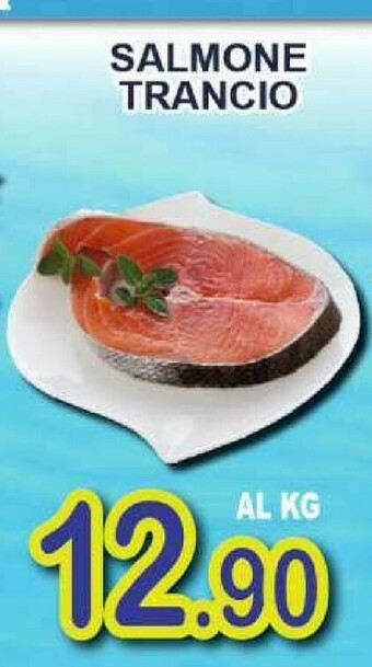 Sacoph Salmone offerta