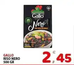 Il Centro Superstore Gallo riso nero offerta