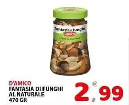 Il Centro Superstore D'amico fantasia di funghi al naturale offerta