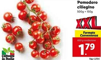 Lidl Pomodoro ciliegino offerta