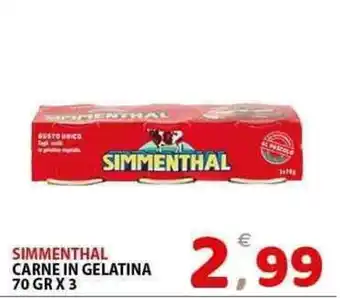 Il Centro Superstore Simmenthal carne in gelatina offerta