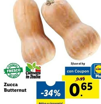 Lidl Zucca butternut offerta