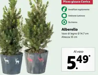 Lidl Alberello vaso di legno offerta