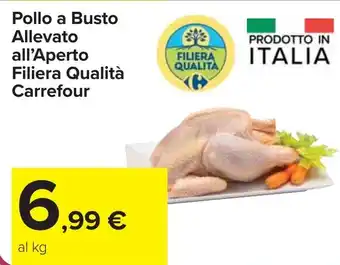 Carrefour Pollo a Busto Allevato all'Aperto Filiera Qualità Carrefour offerta