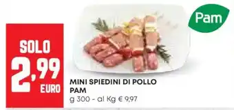 Pam Pam mini spiedini di pollo offerta