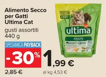 Carrefour Alimento Secco per Gatti Ultima Cat offerta