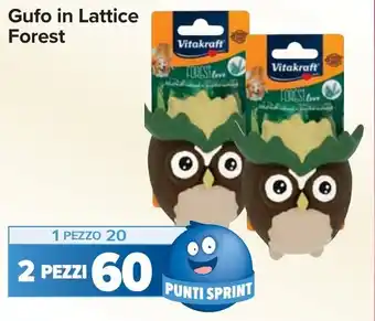 Carrefour Gufo in Lattice Forest Vitakraft offerta