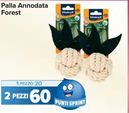 Carrefour Palla Annodata Forest Vitakraft offerta