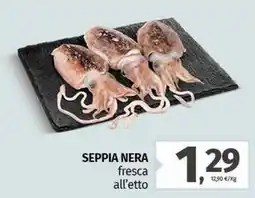 Pam SEPPIA NERA fresca offerta