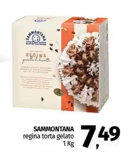 Pam SAMMONTANA regina torta gelato offerta