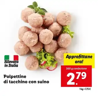 Lidl Polpettine di tacchino con suino offerta