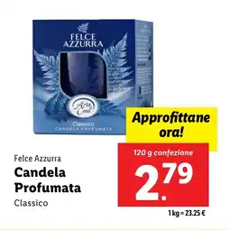 Lidl Felce Azzurra Candela Profumata offerta