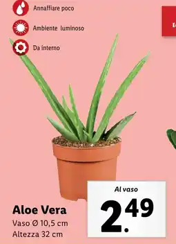 Lidl Aloe Vera offerta