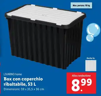 Lidl LIVARNO home Box con coperchio ribaltabile, 53 L offerta