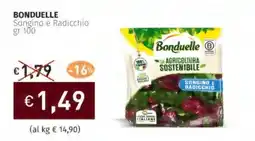 Prezzemolo e Vitale BONDUELLE Songino e Radicchio offerta