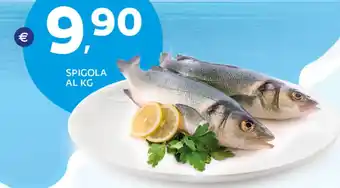 Extra Supermercati Spigola offerta