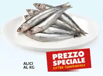 Extra Supermercati Alici offerta