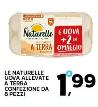 Extra Supermercati Le naturelle uova allevate a terra offerta