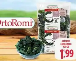 Netto Supermercati Ortoromi cavolo nero offerta