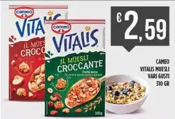 Netto Supermercati CAMEO Vitalis muesli offerta