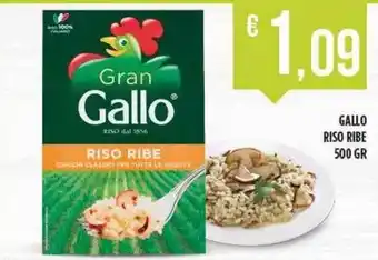 Netto Supermercati GALLO Riso ribe offerta