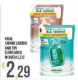 Netto Supermercati VIDAL Sapone liquido vari tipi ecoricarica in busta offerta