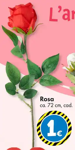 Tedi Rosa offerta