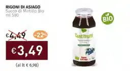 Prezzemolo e Vitale RIGONI DI ASIAGO Succo di Mirtillo Bio offerta