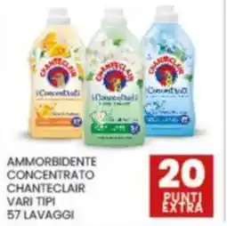 Eurospar Ammorbidente concentrato CHANTECLAIR offerta