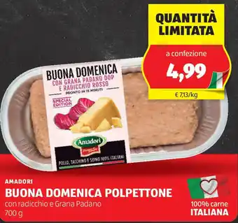 ALDI Amadori buona domenica polpettone offerta