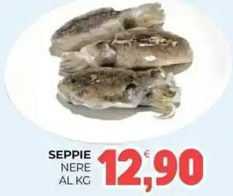 Eté Seppie nere offerta